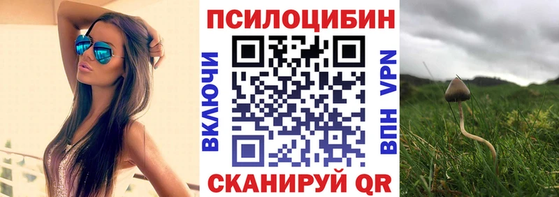 Галлюциногенные грибы Psilocybine cubensis Советская Гавань